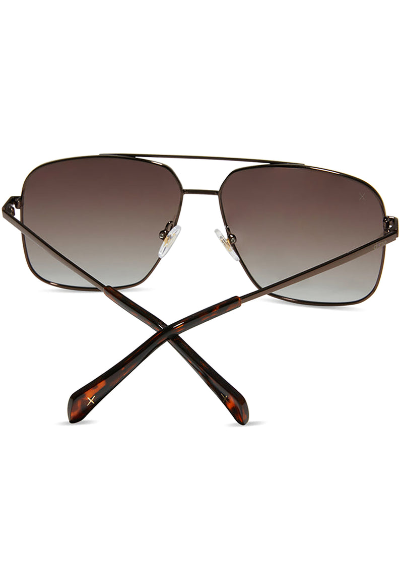 Encino Polarized Sunglasses in Brown/Brown