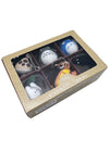 Studio Ghibli Totoro Characters Plush Mascot Keychain 6PC Set